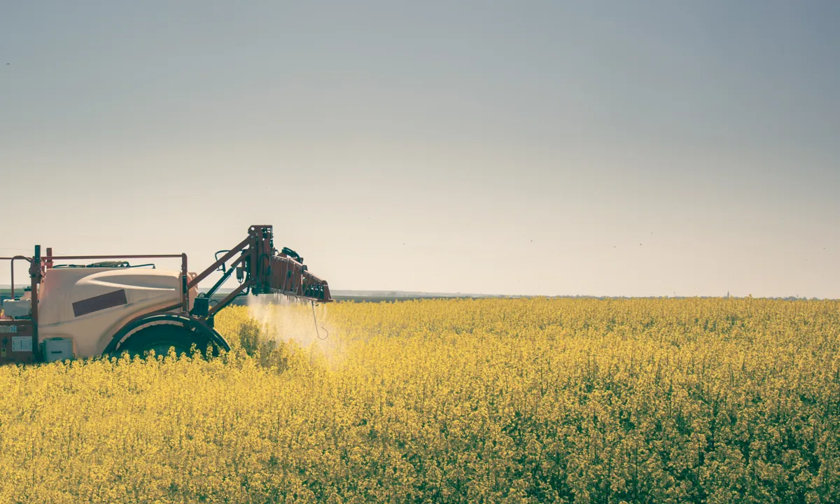 Eine landwirtschaftliche Maschine auf einem Rapsfeld