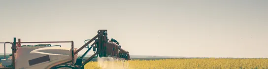 Eine landwirtschaftliche Maschine auf einem Rapsfeld